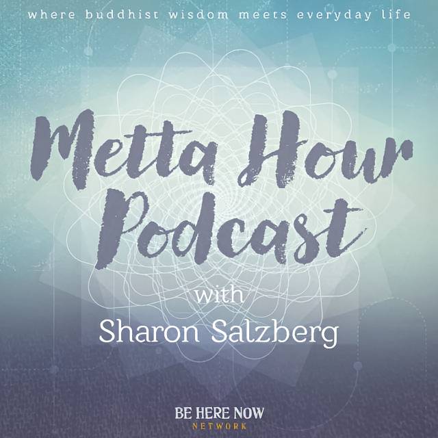 Meta Hour Podcast logo